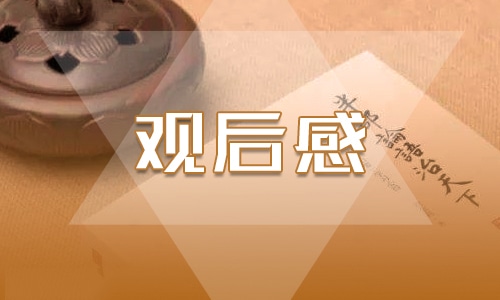 我是接班人大課堂2023《中國(guó)字中國(guó)人》觀后感作文