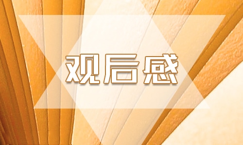 關注成長家庭教育講座直播個人觀后感范文10篇