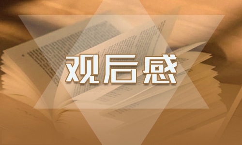 2024年《開(kāi)學(xué)第一課》觀后感心得精選12篇